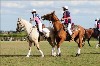 UKPA  NC Sat_1222